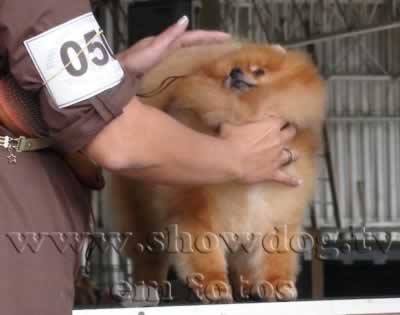 Clique sobre a foto para fechar